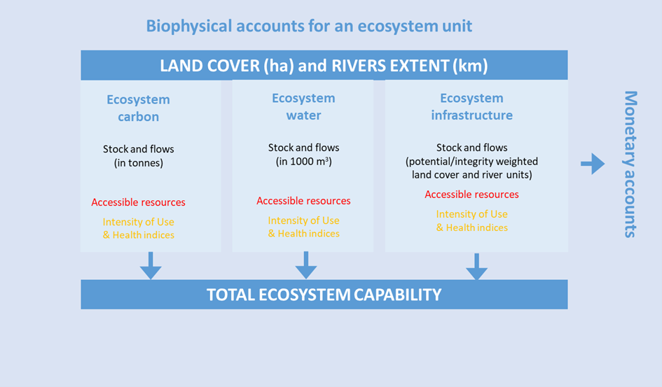 biophysical accounts for an ecosystem unit